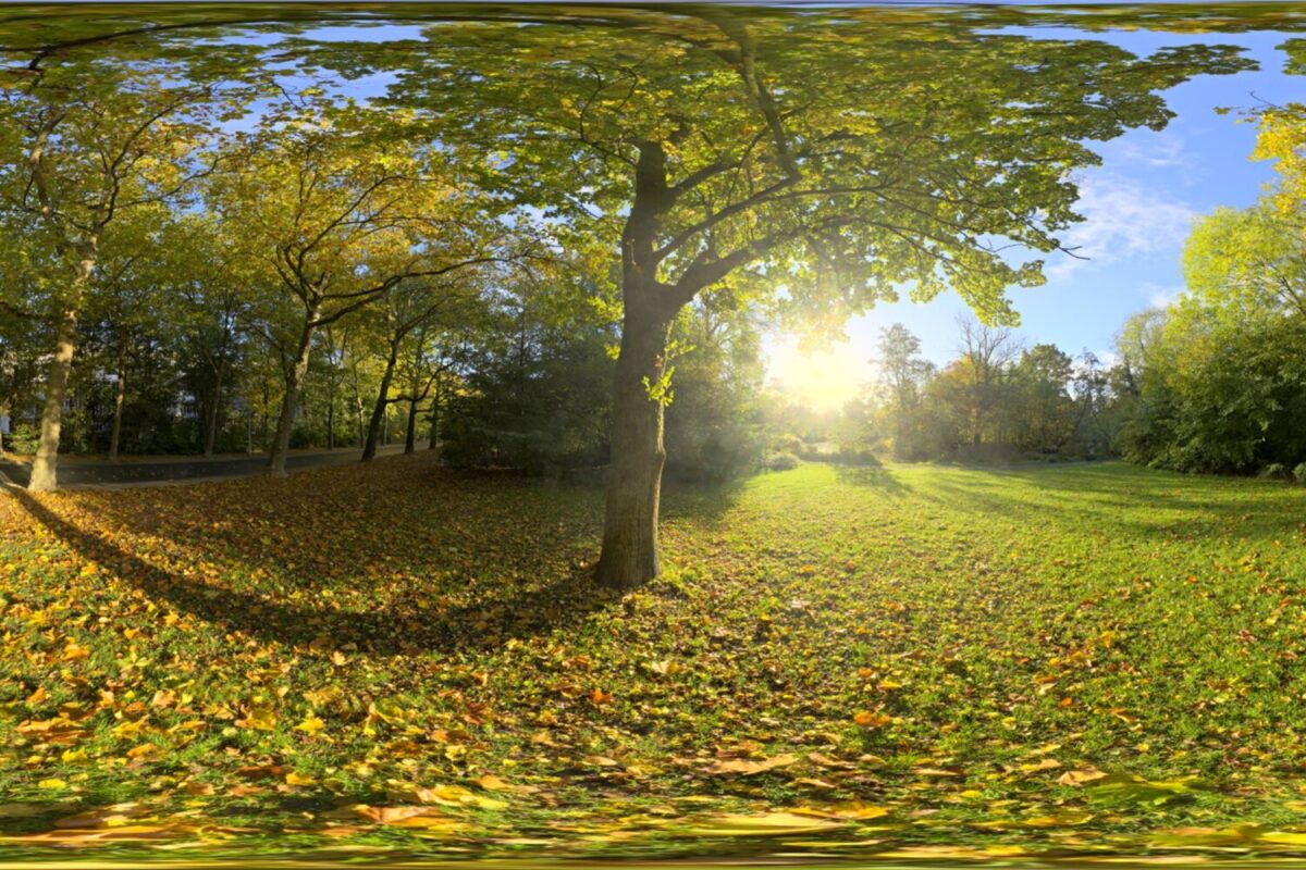 Sunny Vondelpark HDRI