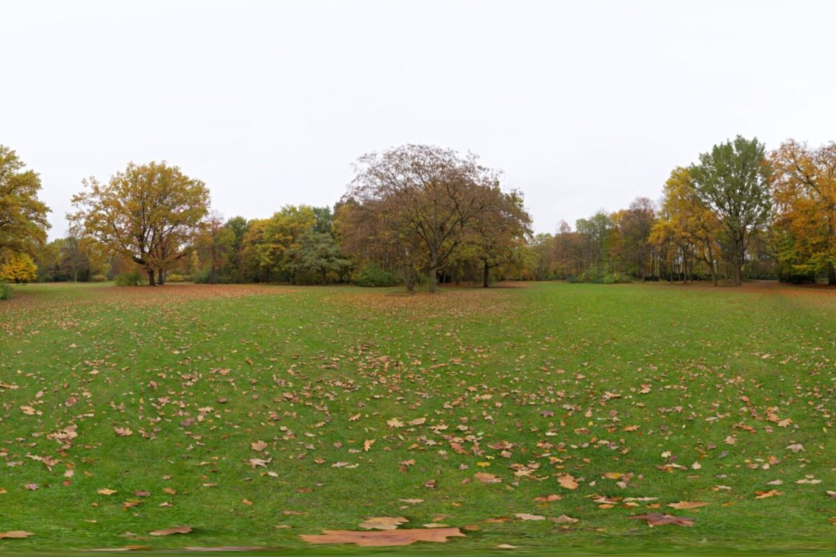 Tiergarten HDRI