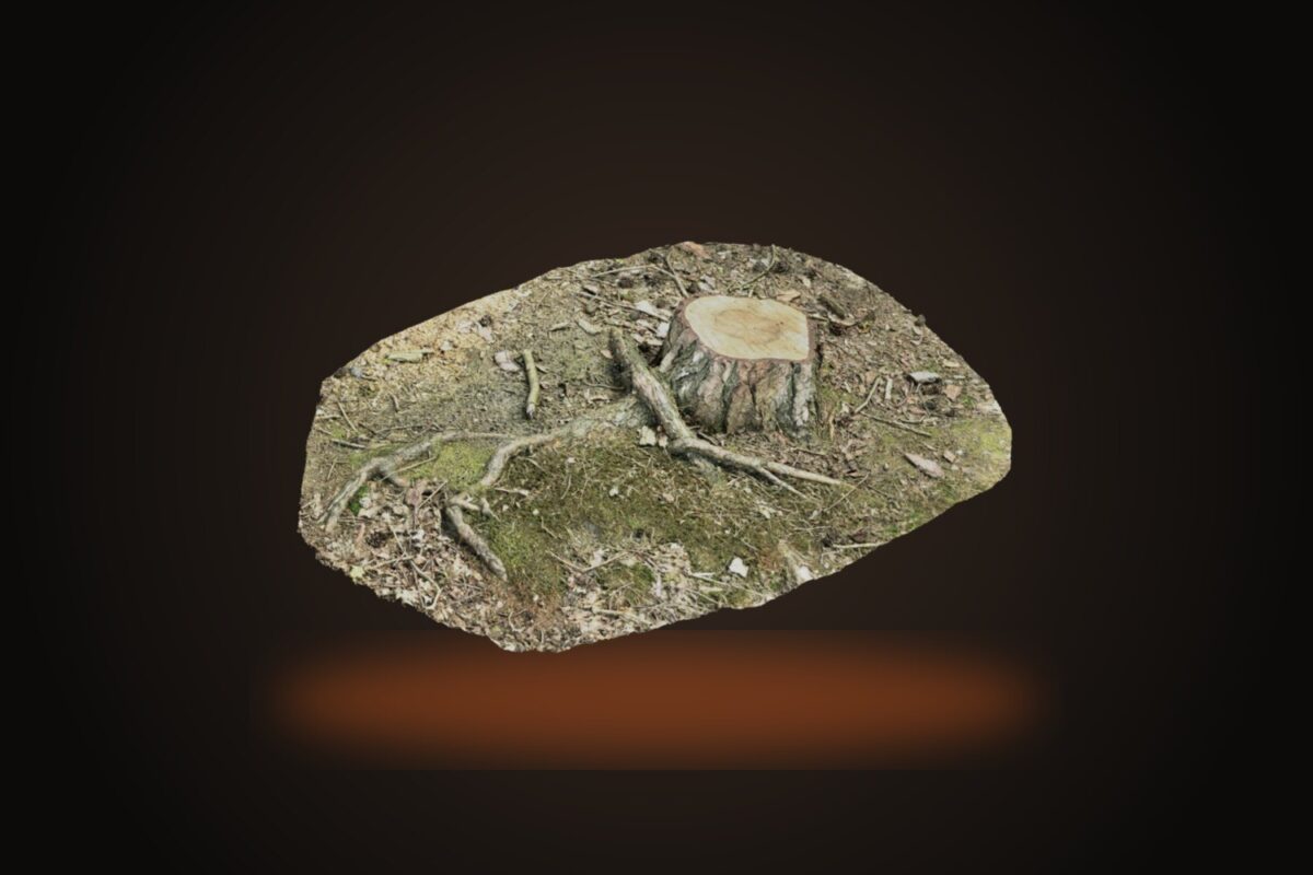 Tree Stump 001 Model