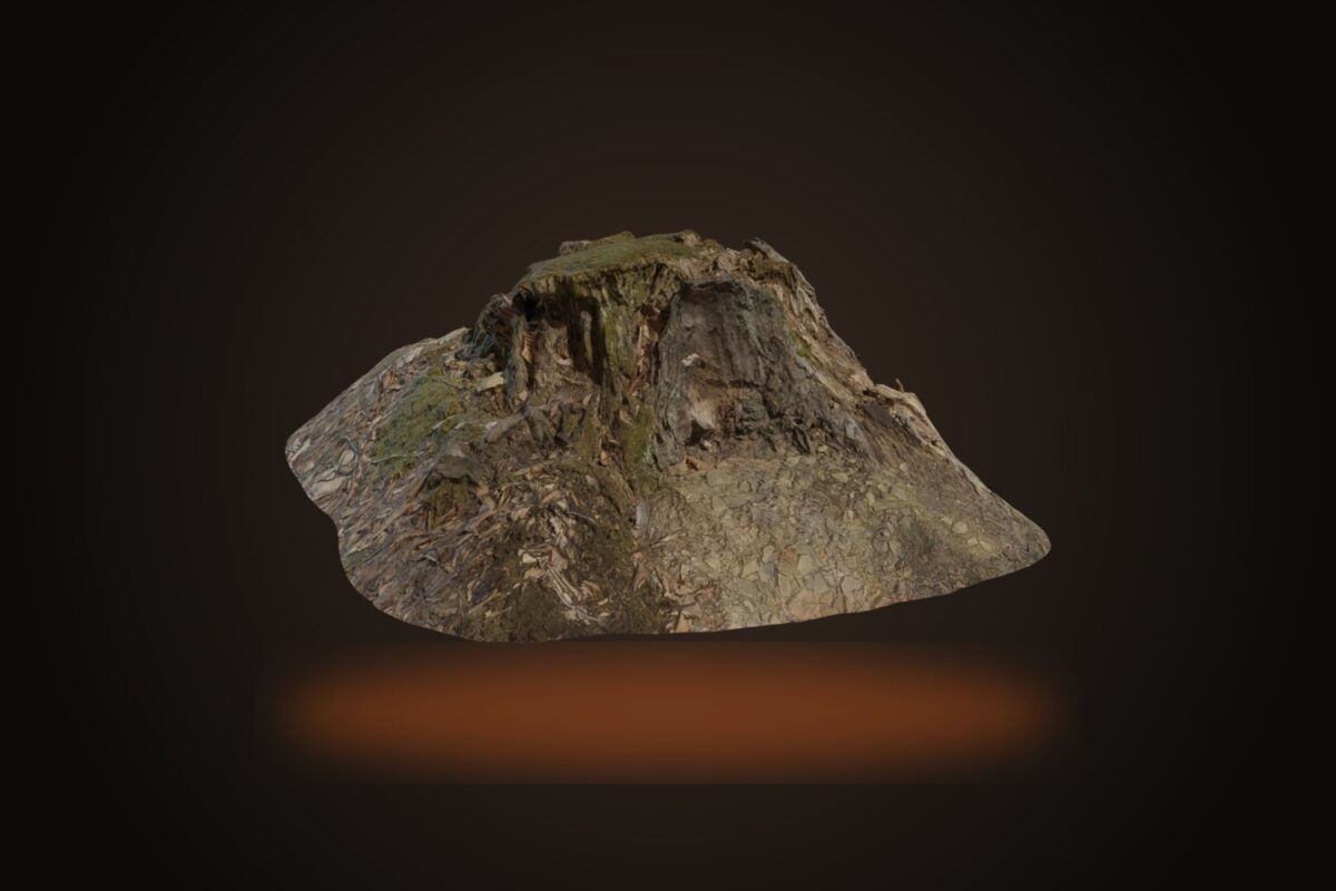 Tree Stump 01 Model