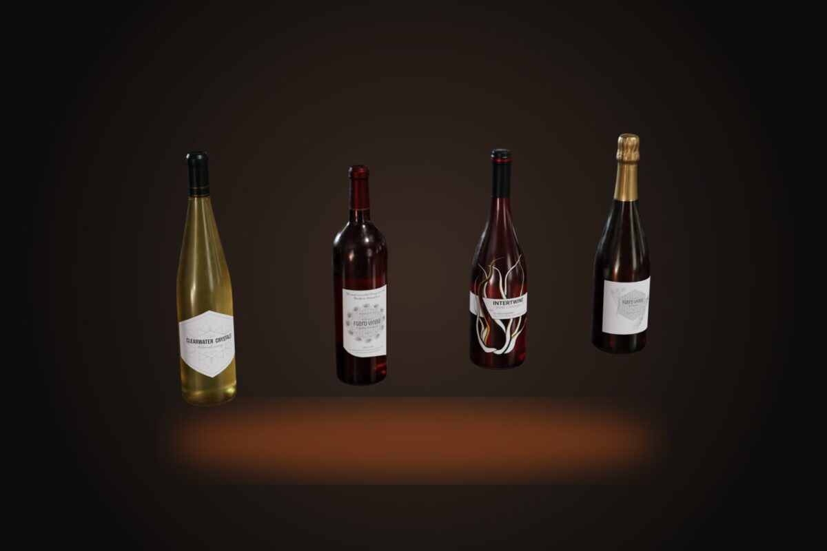 Wine Bottles 01 Model
