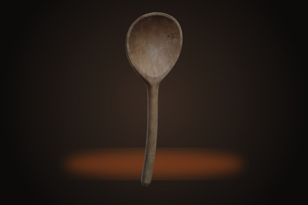 Wooden Spoon Model