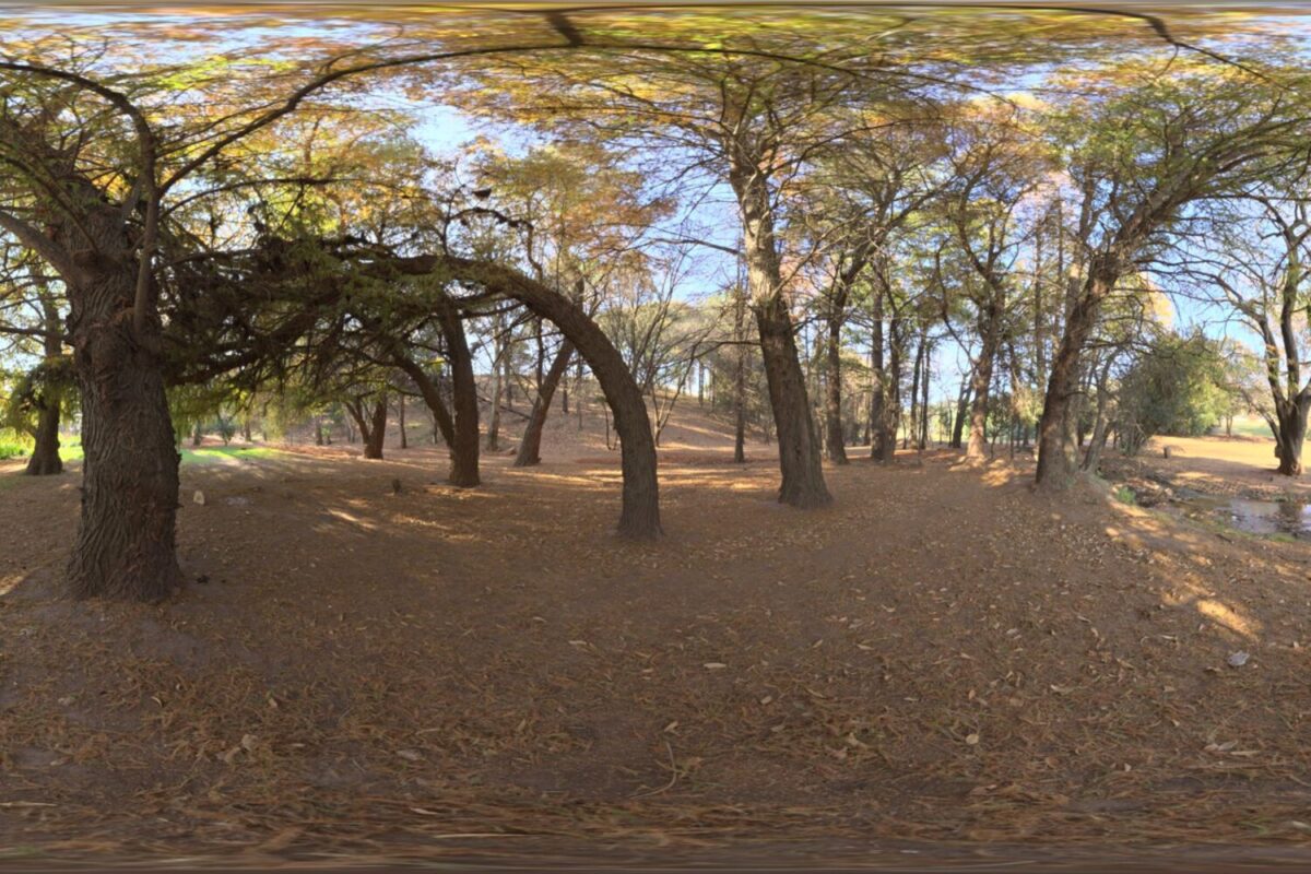 Woods HDRI