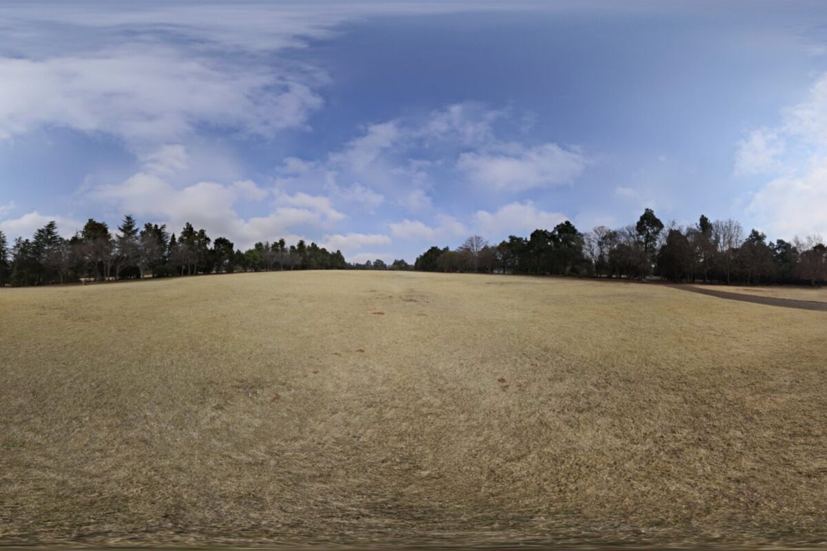Yellow Field HDRI
